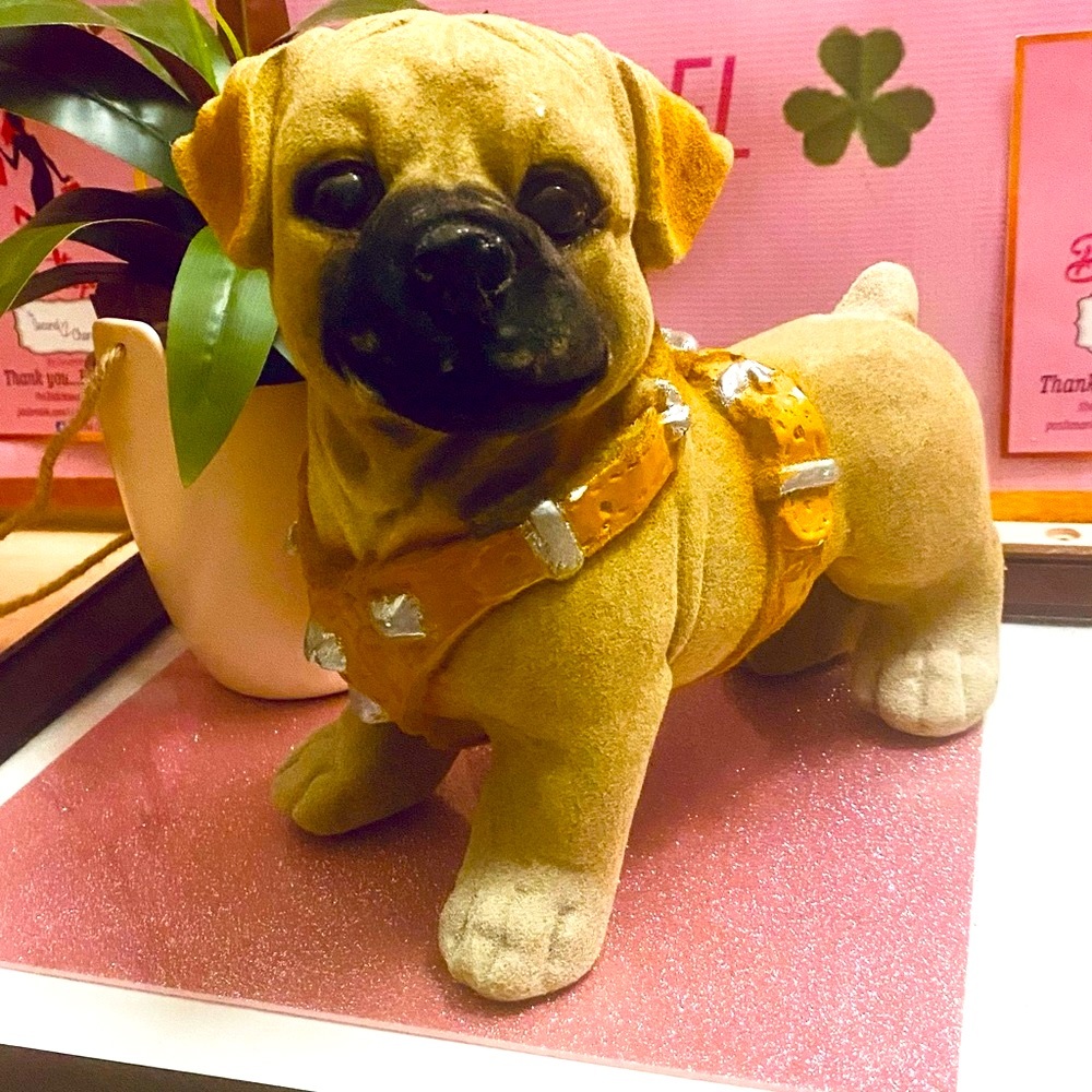NEW !’Doggy Design, Peggy Bank